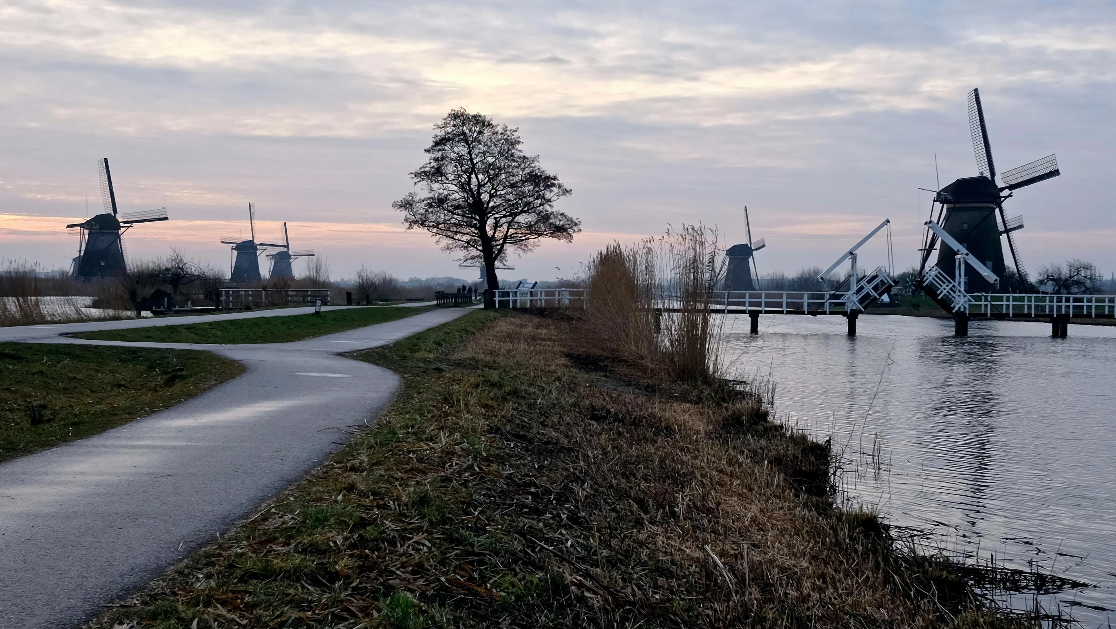 Preview for Dutch Proverbs That Will Make You Sound Wise