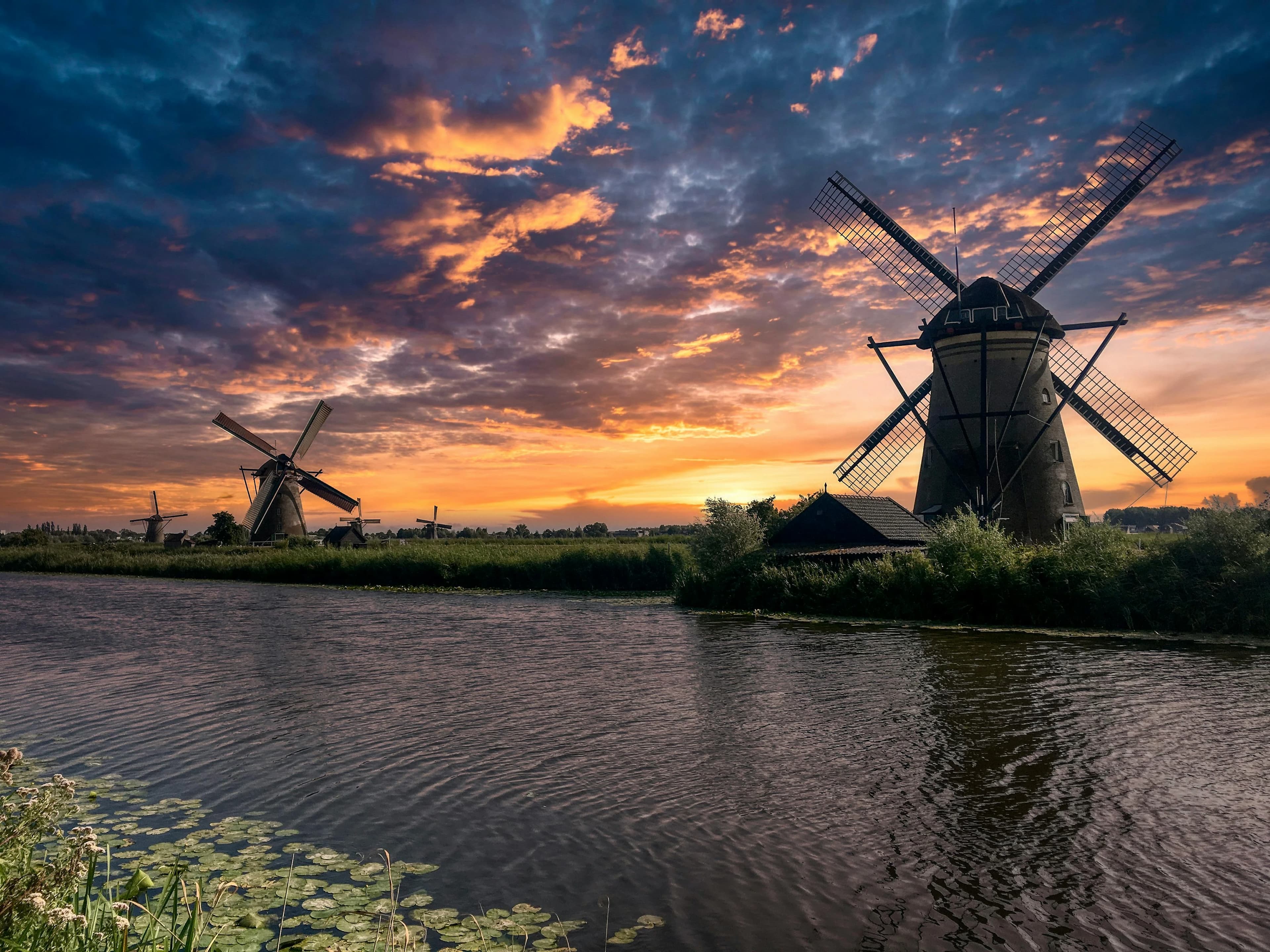 Preview for 10 Essential Dutch Greetings for Daily Conversations