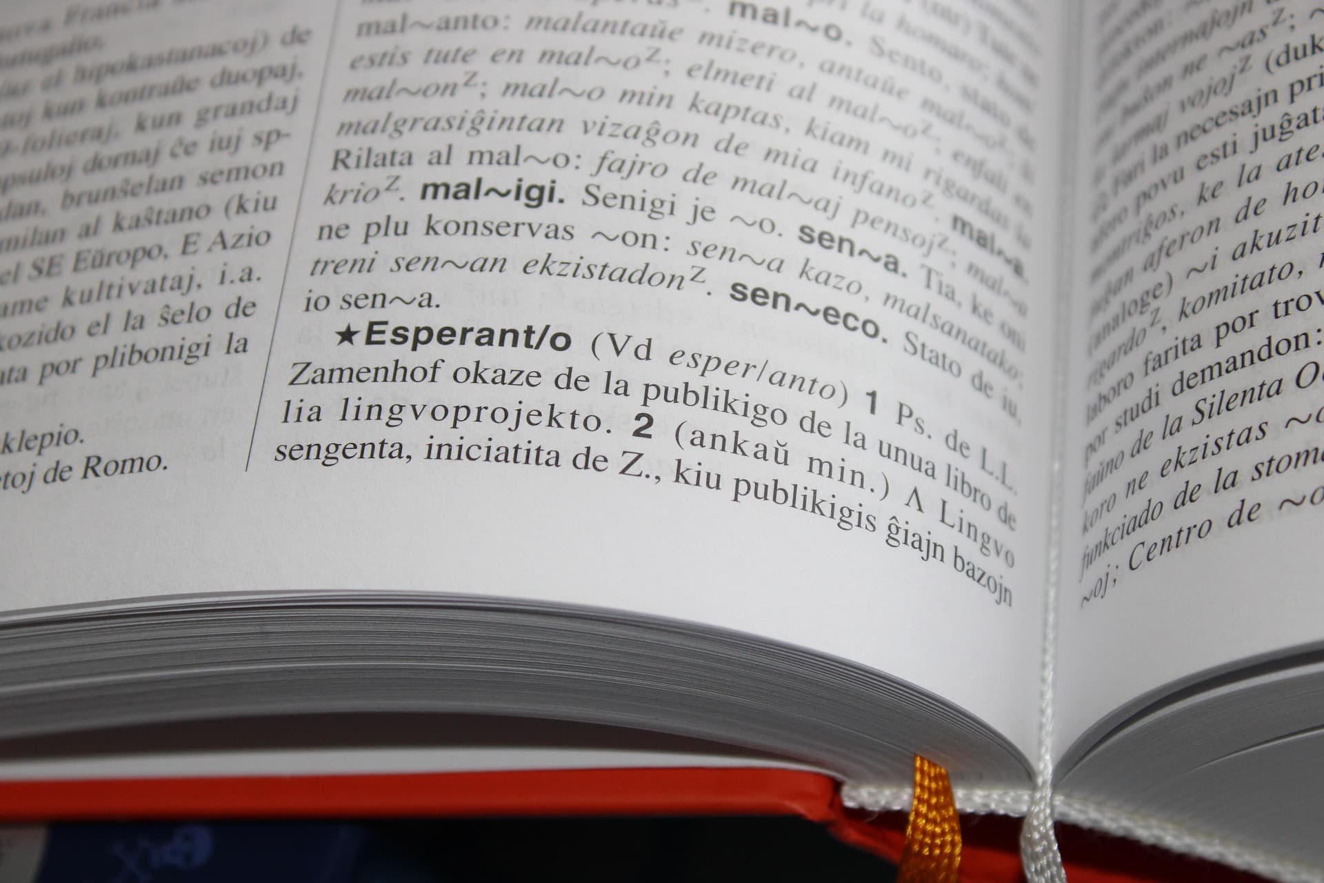 Preview for Esperanto for Activists: Phrases for Global Solidarity