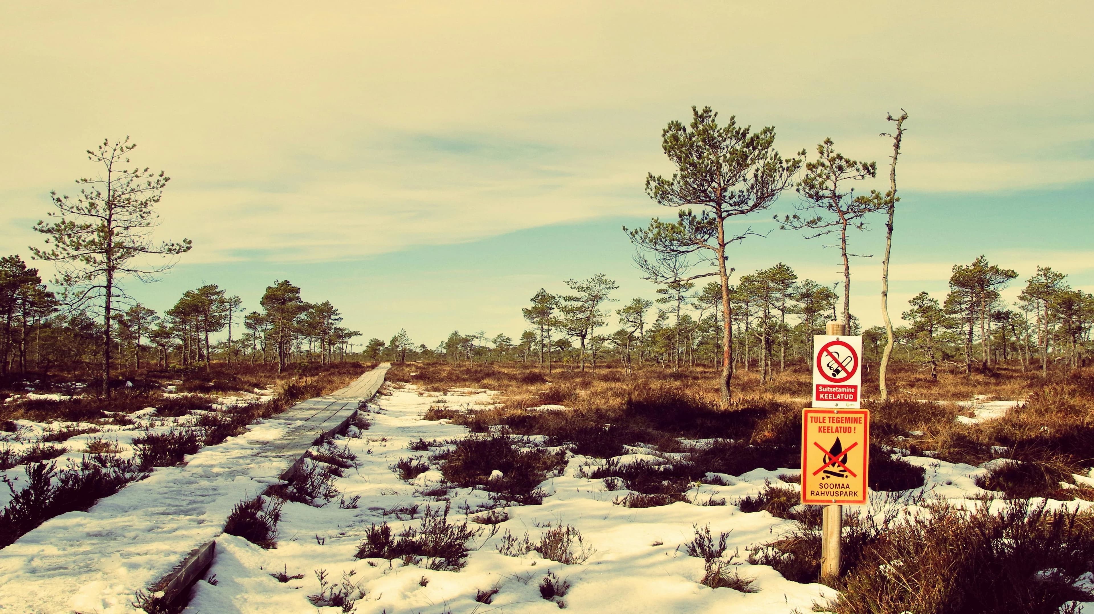 Preview for 12 Fiery Estonian Insults You Need to Know