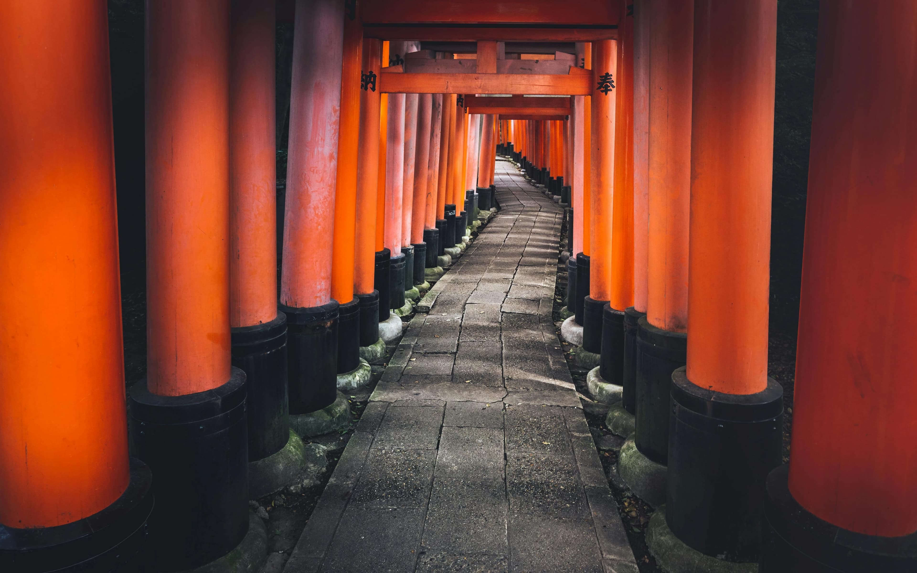 Preview for Ordering Like a Local: 10 Japanese Food Phrases for Diners