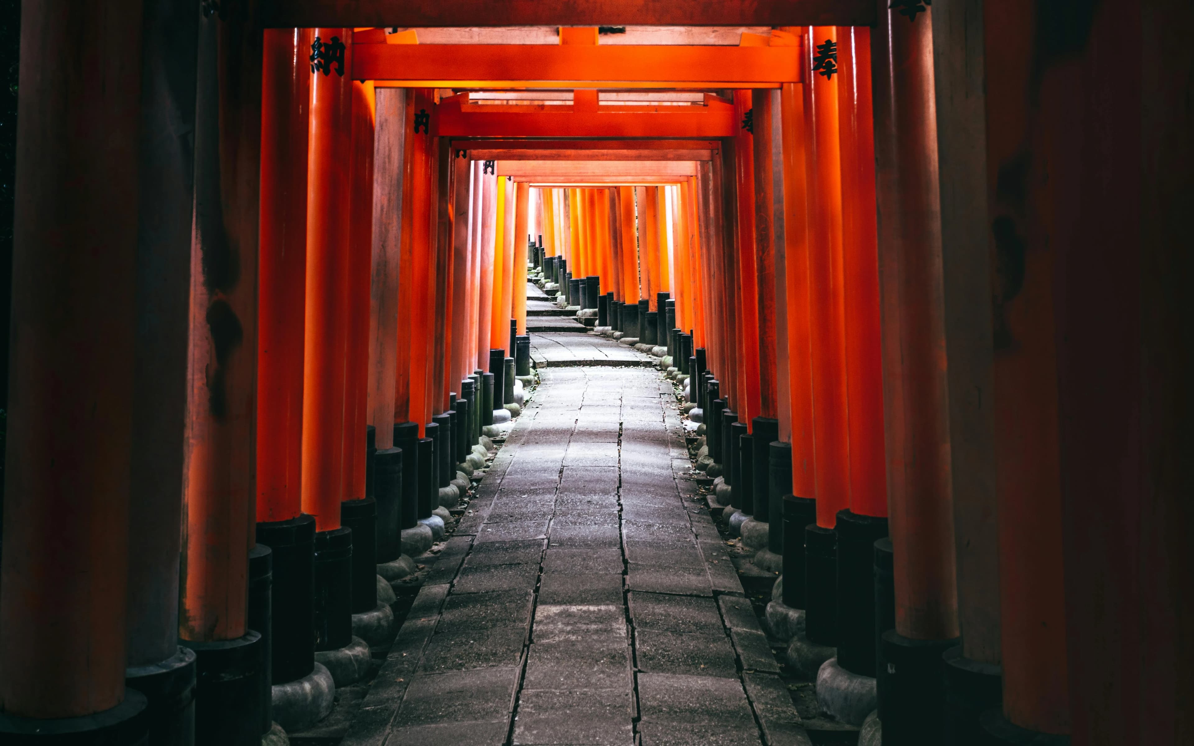 Preview for The Art of Japanese Gift-Giving: Phrases and Customs to Know