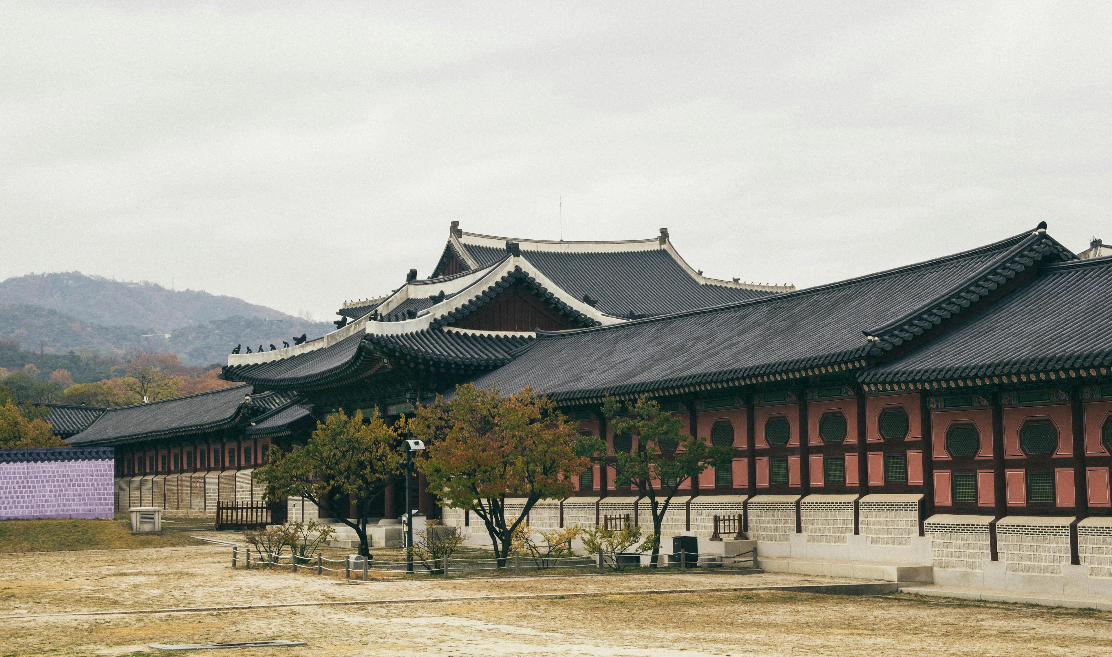 Preview for Survival Korean: 12 Emergency Phrases You Need to Know