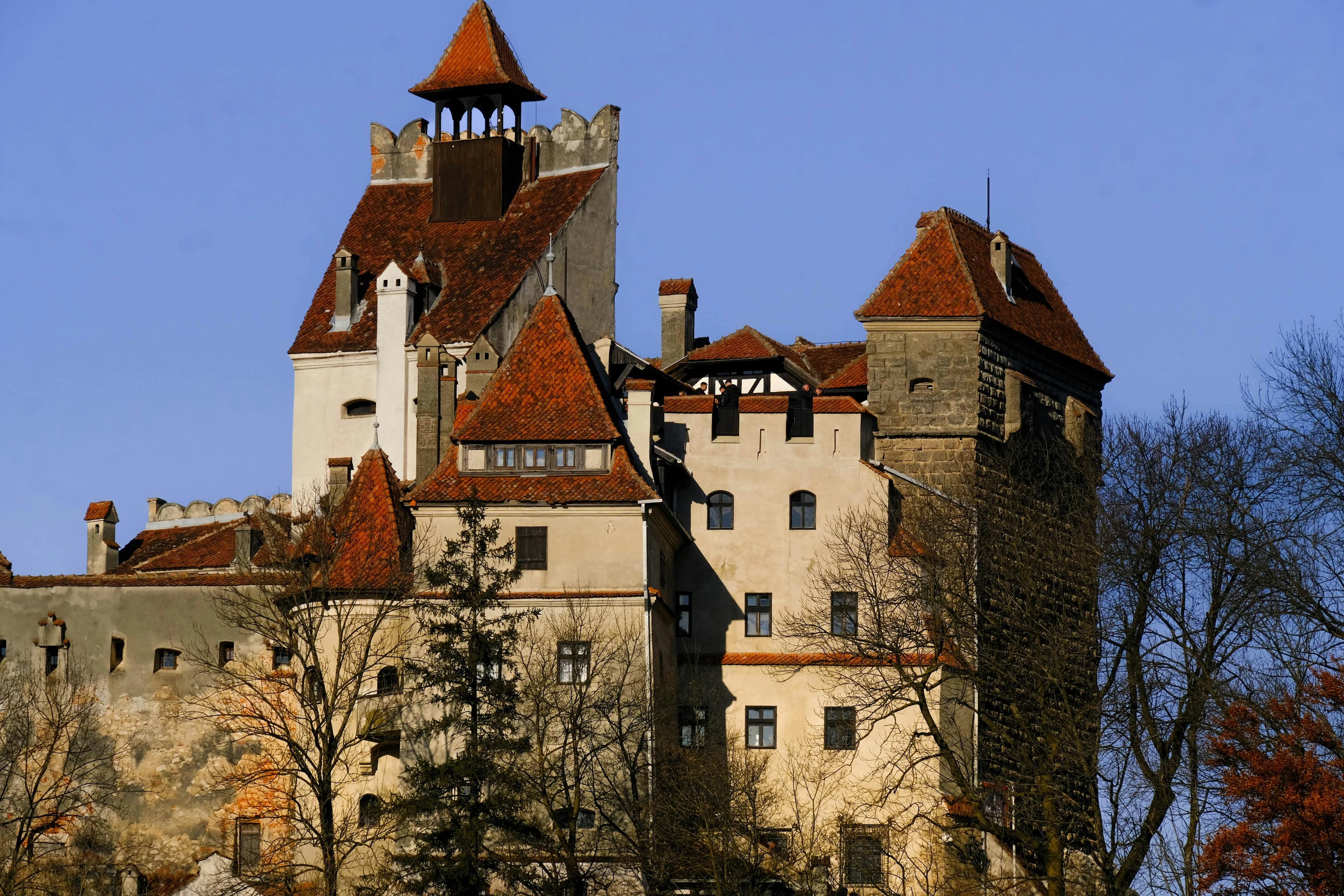 Preview for The Beauty of Romanian Nature: Vocabulary for Outdoor Enthusiasts