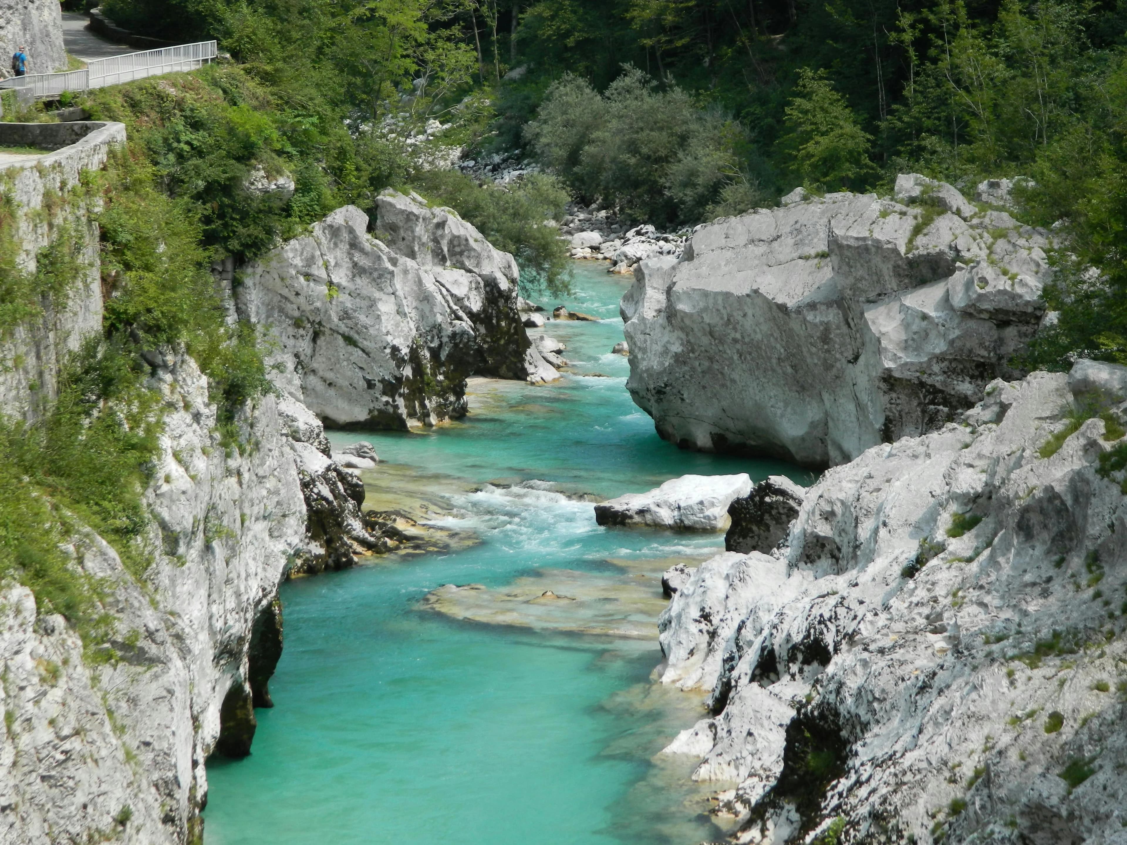 Preview for Slovenian vs Serbian: The Key Differences Every Learner Should Know