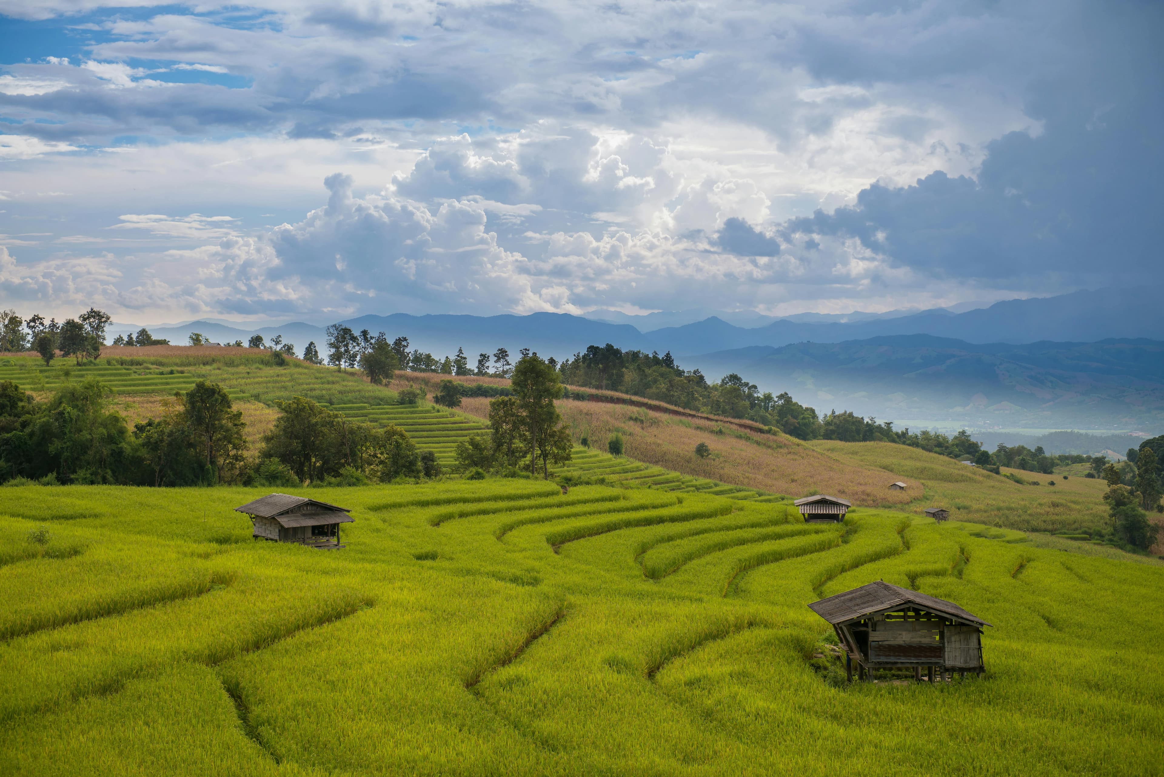 Preview for Mastering the Nuances of Thai Formal Letters