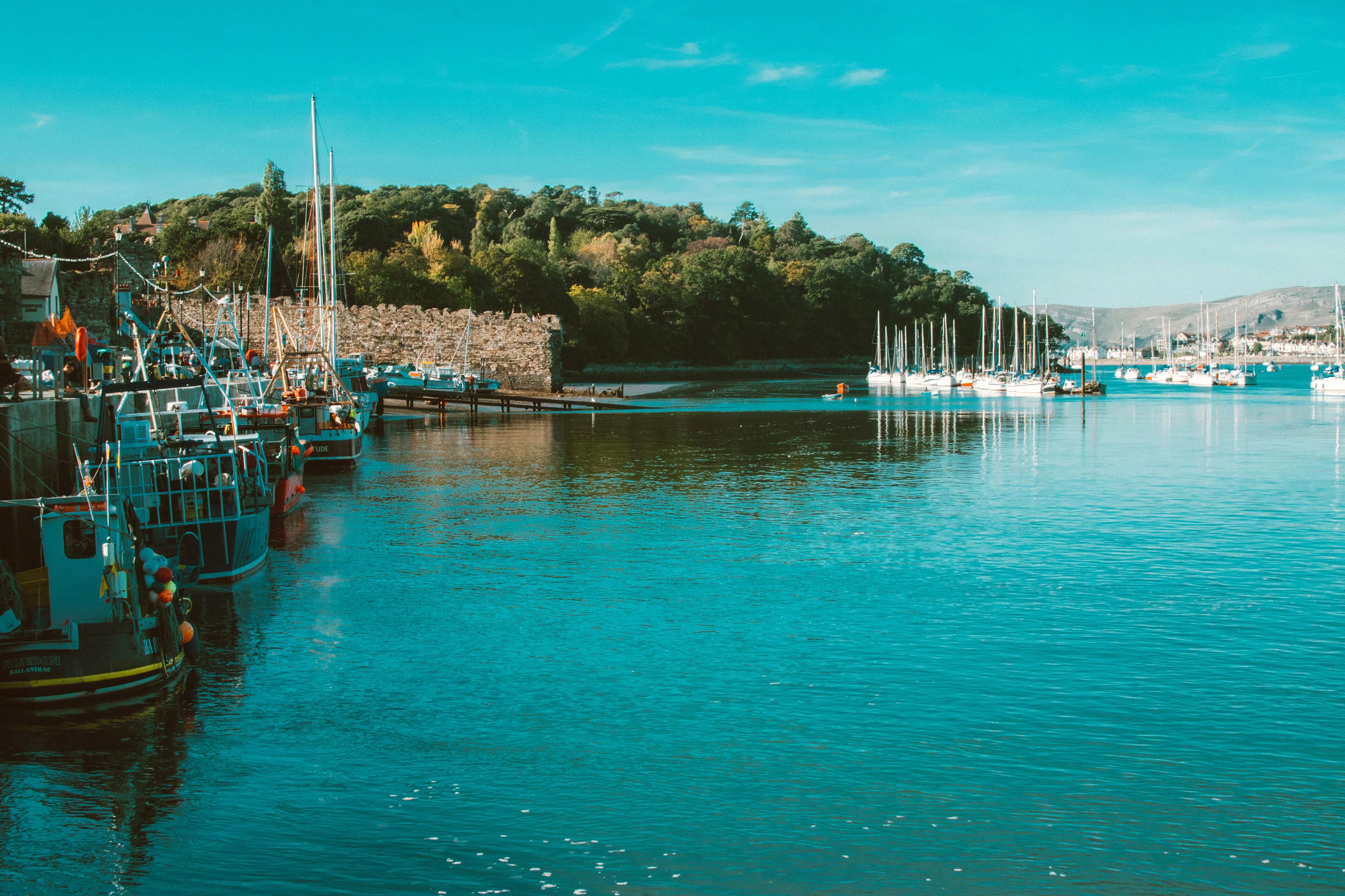 Preview for The Beauty of Welsh Nature Poems: Exploring the Language