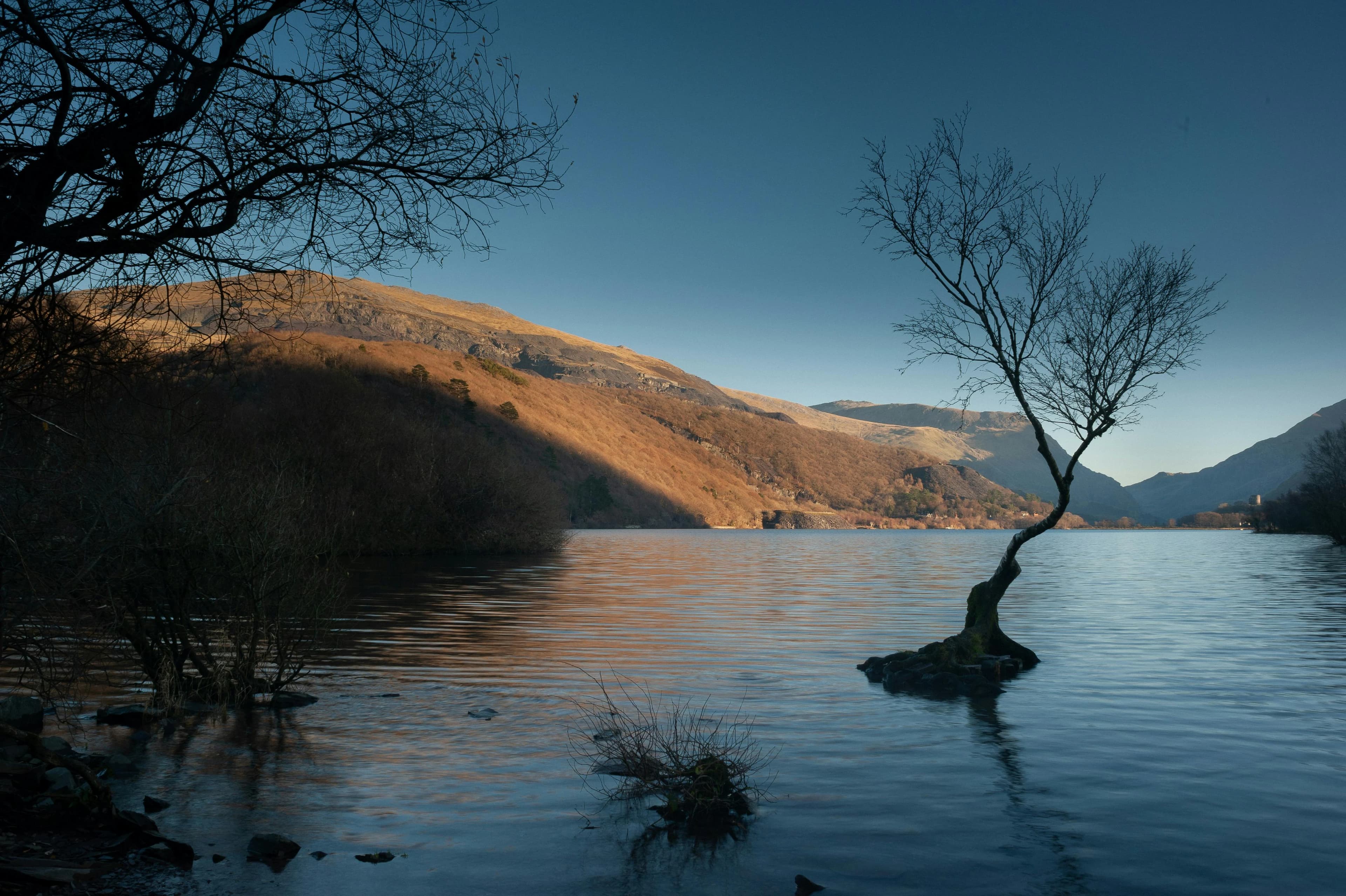 Preview for Tackling Advanced Welsh: Building Complex Sentences