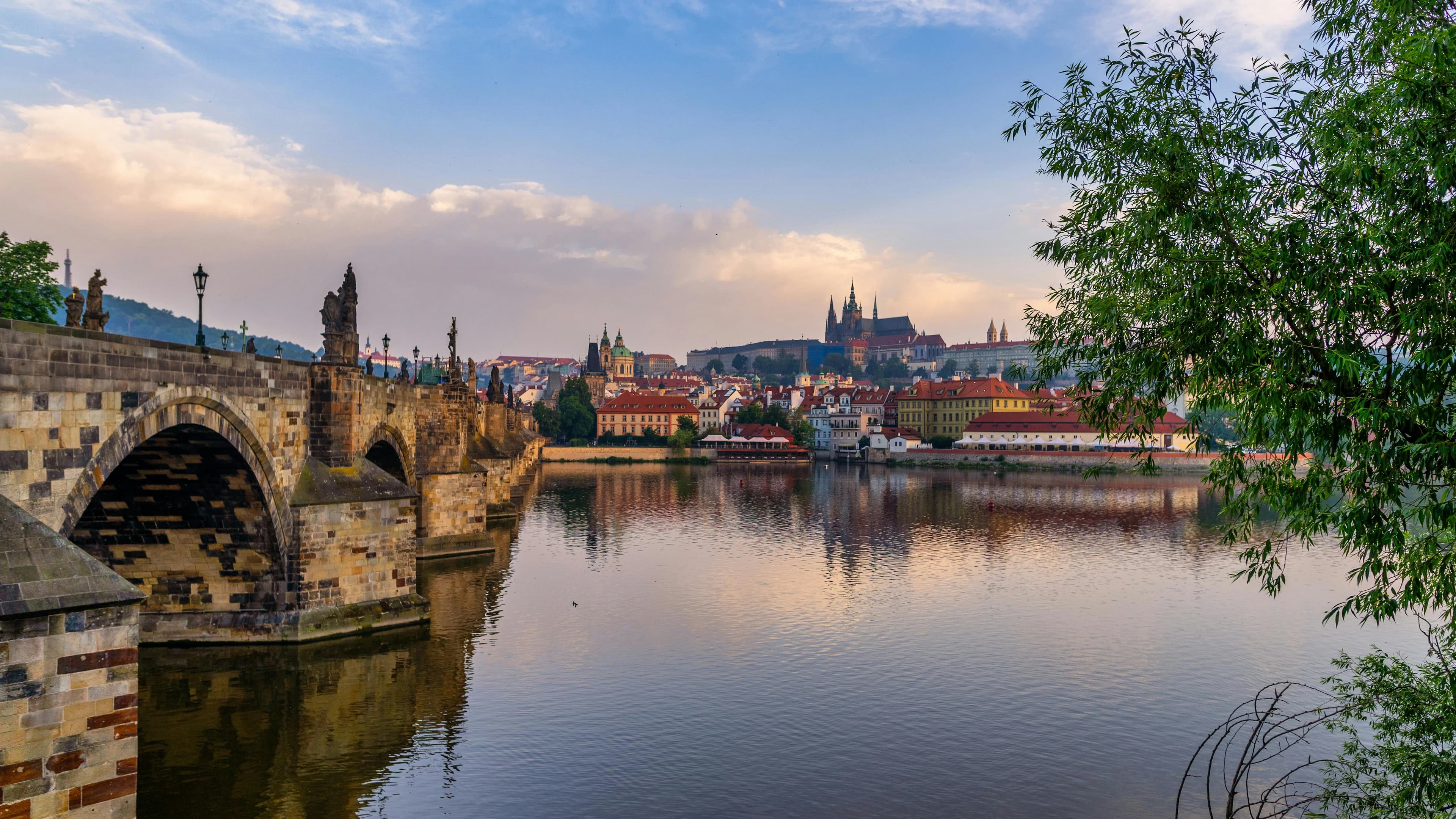Preview for Czech Beer Culture: Must-Know Phrases for Pubs and Breweries