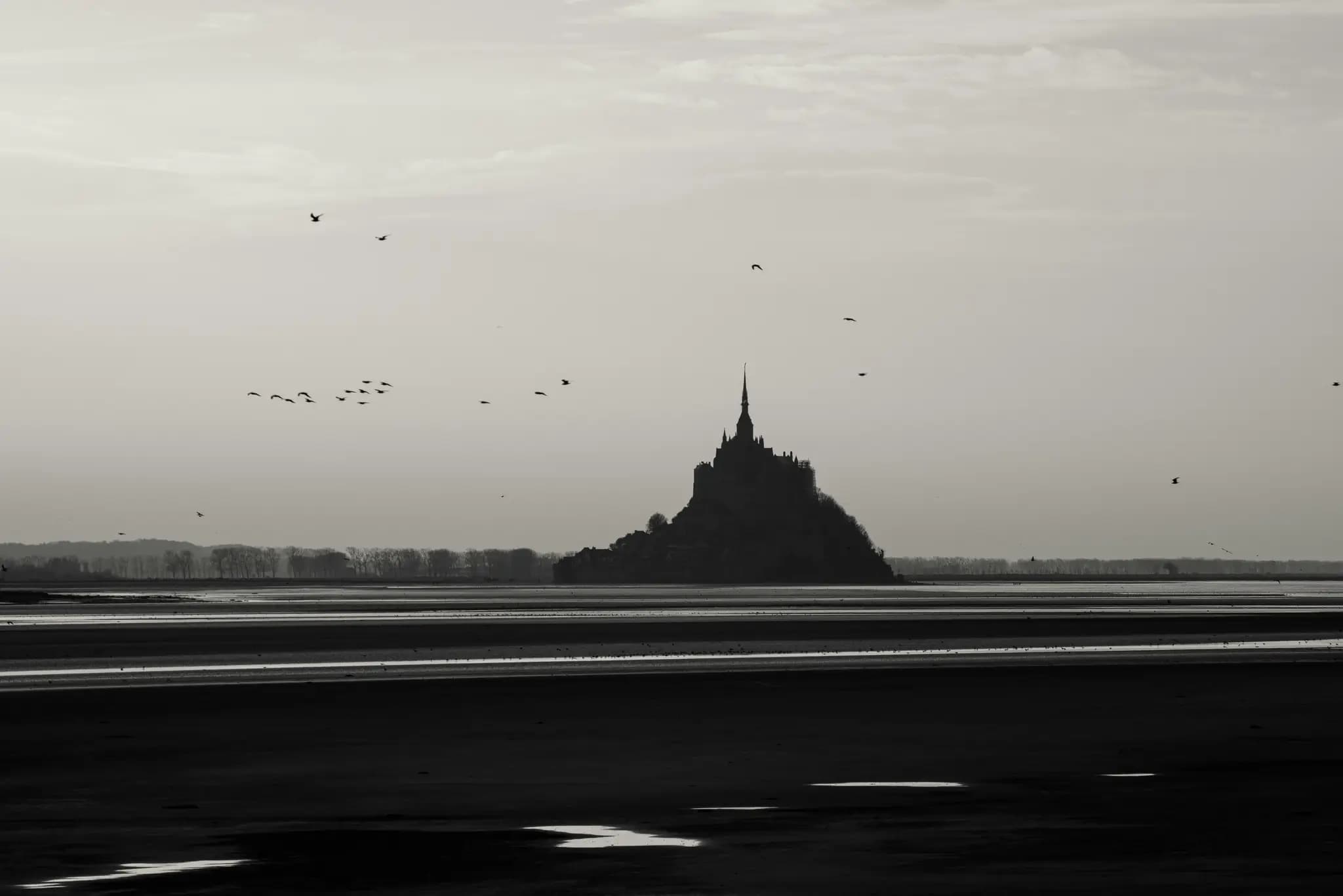Preview for Why French Grammar Makes Perfect Sense (Despite What You've Heard)